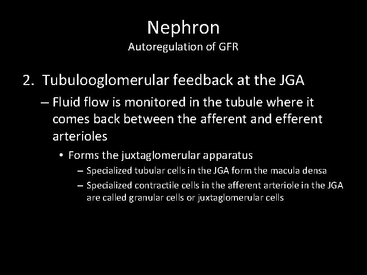 Nephron Autoregulation of GFR 2. Tubulooglomerular feedback at the JGA – Fluid flow is