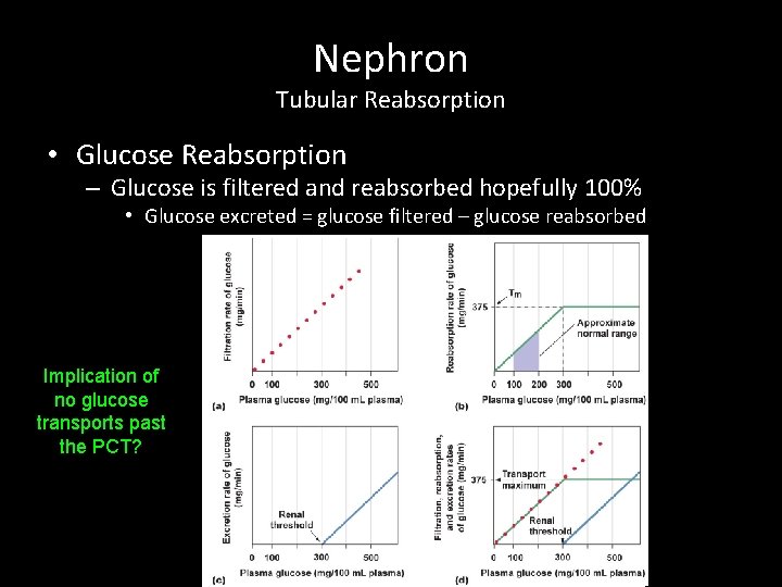Nephron Tubular Reabsorption • Glucose Reabsorption – Glucose is filtered and reabsorbed hopefully 100%
