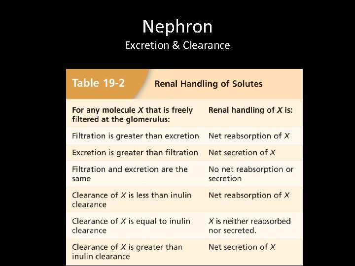 Nephron Excretion & Clearance 