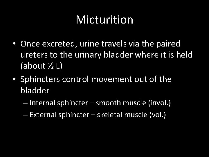 Micturition • Once excreted, urine travels via the paired ureters to the urinary bladder