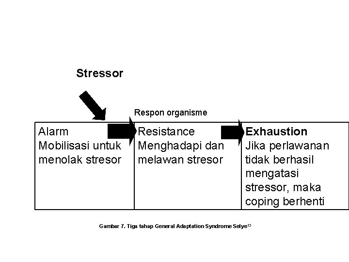 Stressor Respon organisme Alarm Mobilisasi untuk menolak stresor Resistance Menghadapi dan melawan stresor Exhaustion