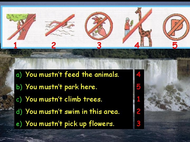 1 2 3 4 a) You mustn’t feed the animals. 4 b) You mustn’t