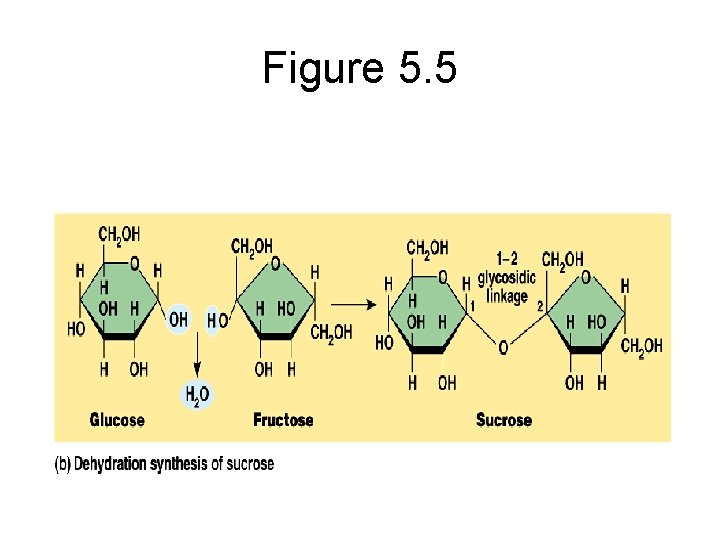 Figure 5. 5 