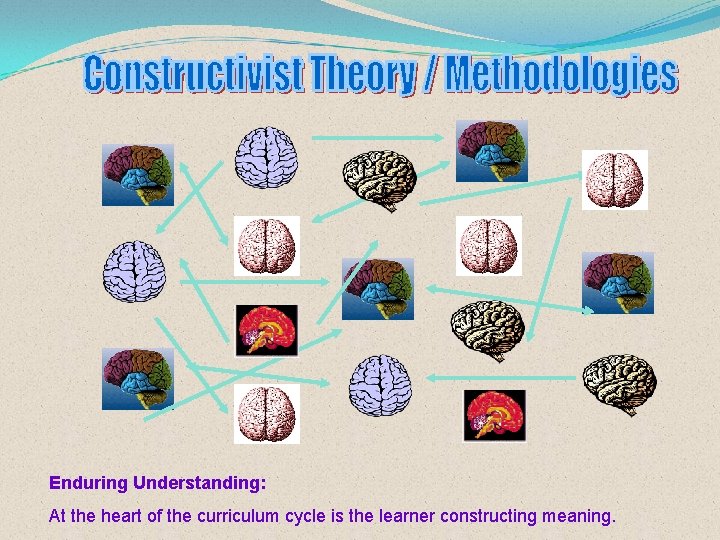 Enduring Understanding: At the heart of the curriculum cycle is the learner constructing meaning.