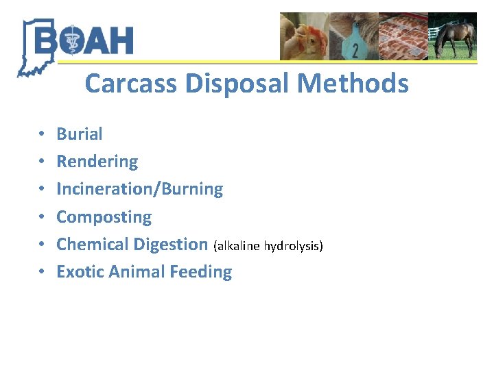 Carcass Disposal Methods • • • Burial Rendering Incineration/Burning Composting Chemical Digestion (alkaline hydrolysis)