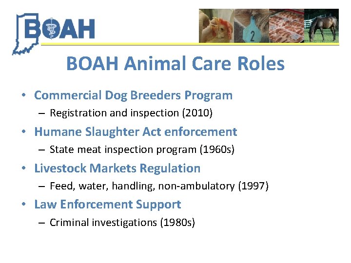 BOAH Animal Care Roles • Commercial Dog Breeders Program – Registration and inspection (2010)