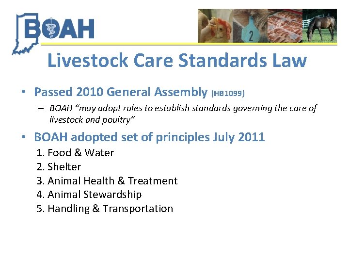 Livestock Care Standards Law • Passed 2010 General Assembly (HB 1099) – BOAH “may