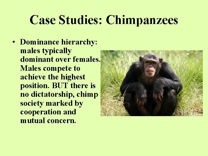 Case Studies: Chimpanzees • Dominance hierarchy: males typically dominant over females. Males compete to