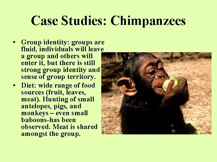 Case Studies: Chimpanzees • Group identity: groups are fluid, individuals will leave a group