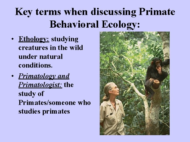 Key terms when discussing Primate Behavioral Ecology: • Ethology: studying creatures in the wild
