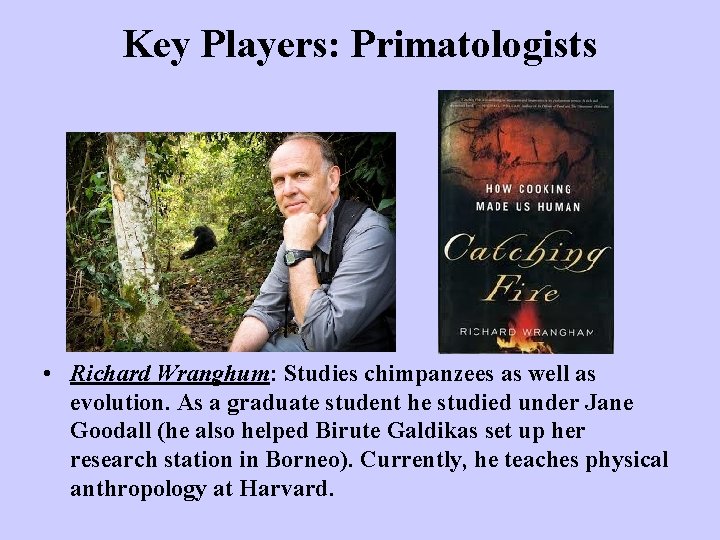 Key Players: Primatologists • Richard Wranghum: Studies chimpanzees as well as evolution. As a