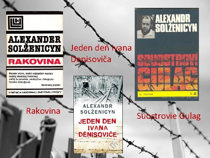 Jeden deň Ivana Denisoviča Rakovina Súostrovie Gulag 