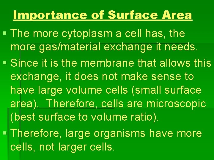 Importance of Surface Area § The more cytoplasm a cell has, the more gas/material