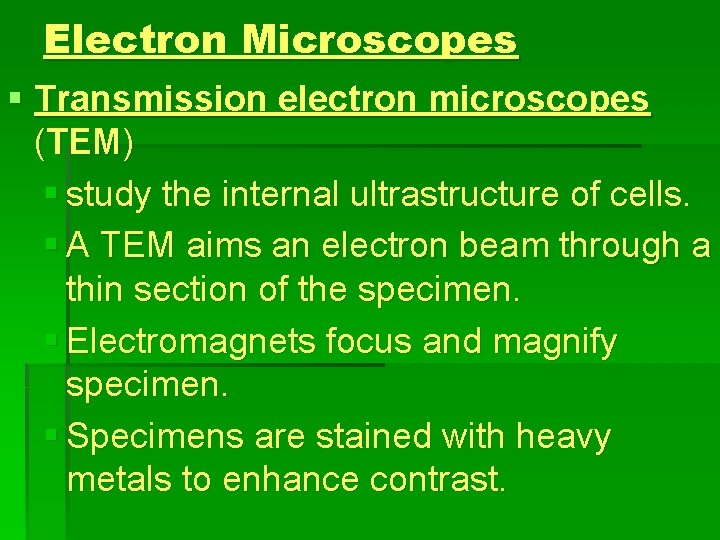 Electron Microscopes § Transmission electron microscopes (TEM) § study the internal ultrastructure of cells.