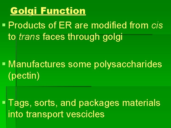 Golgi Function § Products of ER are modified from cis to trans faces through