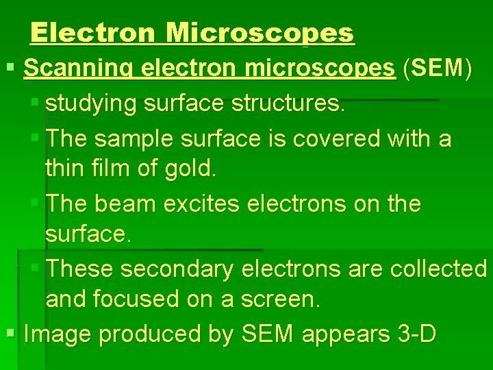 Electron Microscopes § Scanning electron microscopes (SEM) § studying surface structures. § The sample