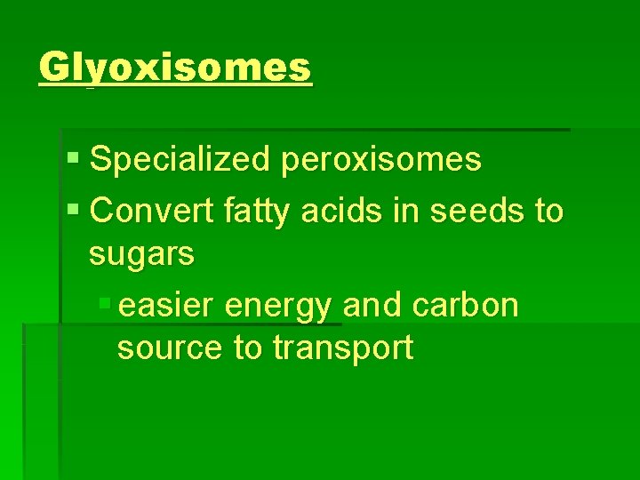 Glyoxisomes § Specialized peroxisomes § Convert fatty acids in seeds to sugars § easier