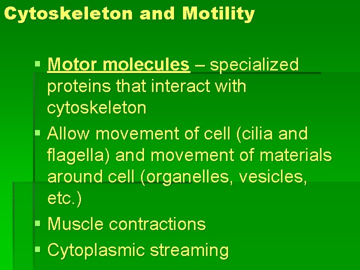 Cytoskeleton and Motility § Motor molecules – specialized proteins that interact with cytoskeleton §
