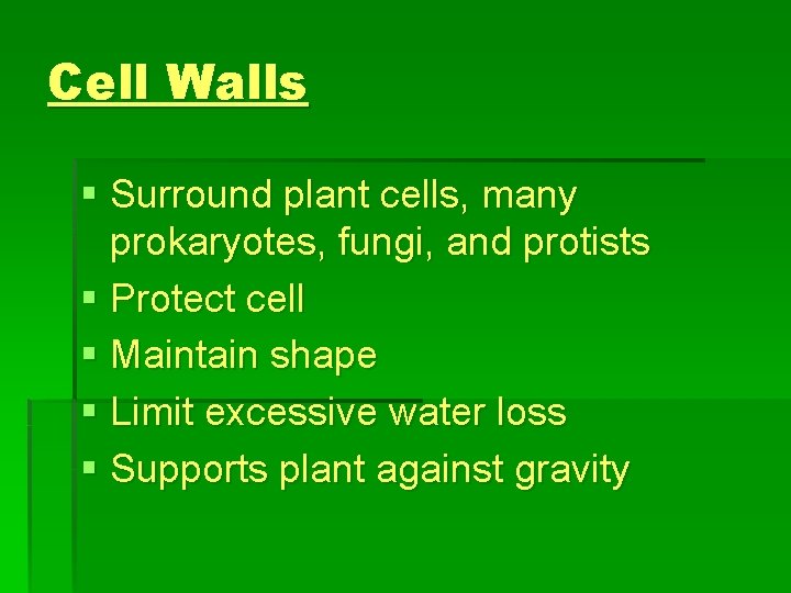 Cell Walls § Surround plant cells, many prokaryotes, fungi, and protists § Protect cell