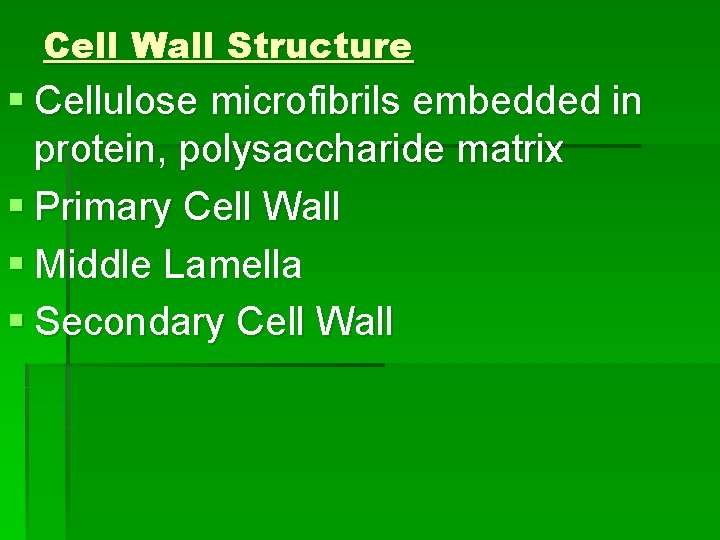 Cell Wall Structure § Cellulose microfibrils embedded in protein, polysaccharide matrix § Primary Cell