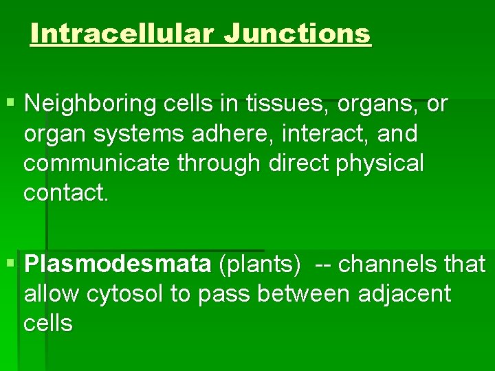 Intracellular Junctions § Neighboring cells in tissues, organs, or organ systems adhere, interact, and