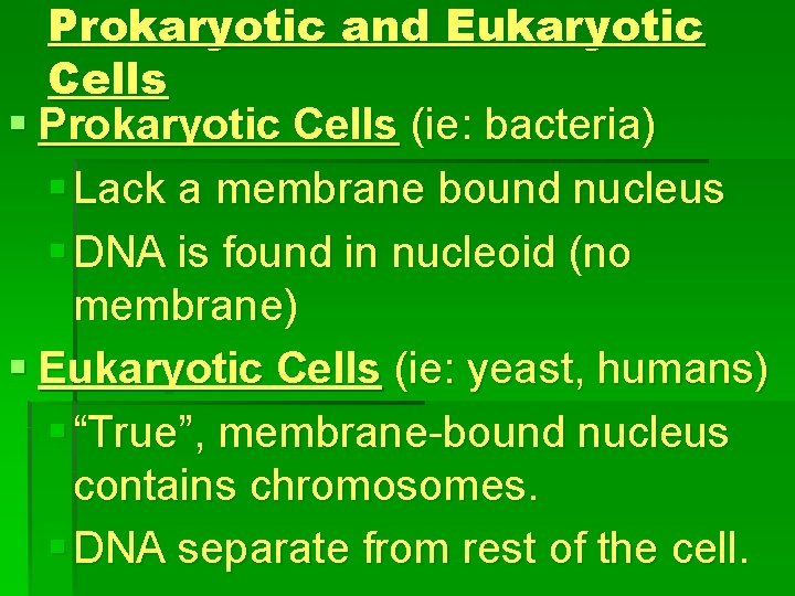 Prokaryotic and Eukaryotic Cells § Prokaryotic Cells (ie: bacteria) § Lack a membrane bound