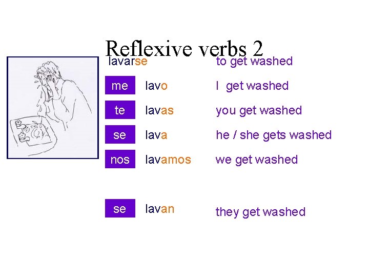 Reflexive verbs 2 lavarse to get washed me lavo I get washed te lavas