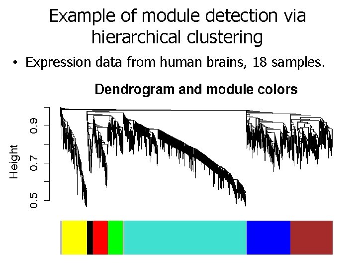 Example of module detection via hierarchical clustering • Expression data from human brains, 18