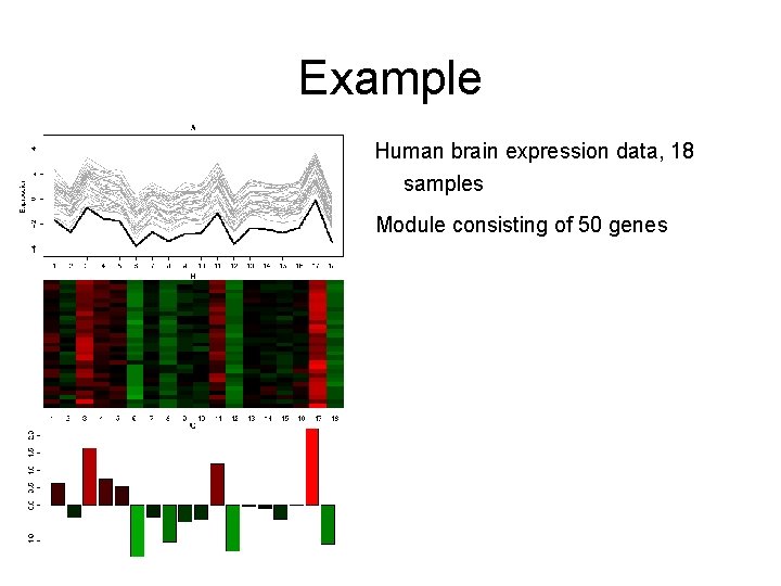 Example Human brain expression data, 18 samples Module consisting of 50 genes 
