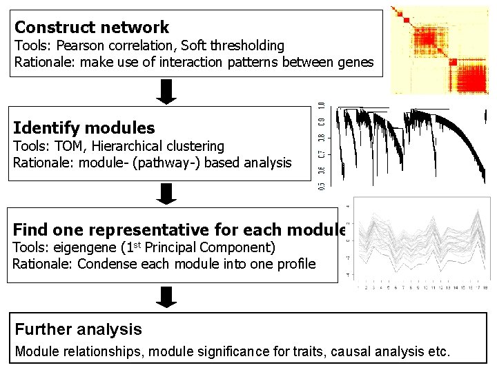 Construct network Tools: Pearson correlation, Soft thresholding Rationale: make use of interaction patterns between