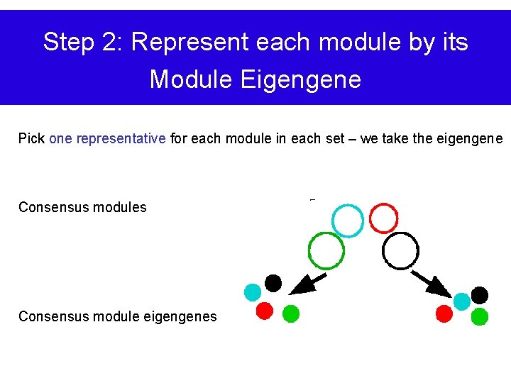 Step 2: Represent each module by its Module Eigengene Pick one representative for each