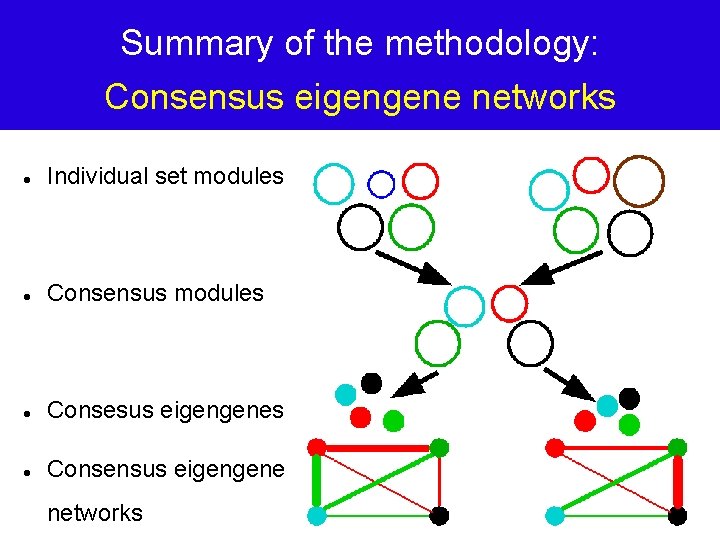 Summary of the methodology: Consensus eigengene networks Individual set modules Consensus modules Consesus eigengenes