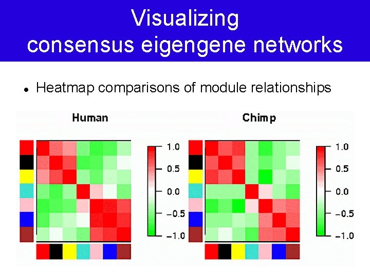 Visualizing consensus eigengene networks Heatmap comparisons of module relationships 