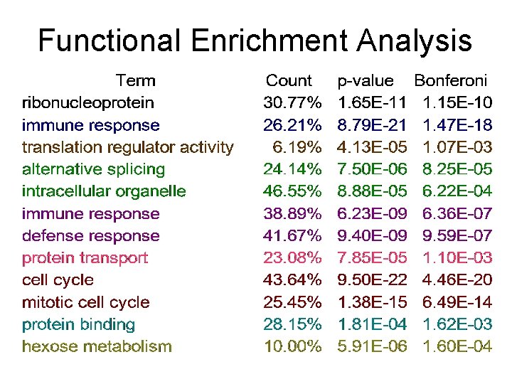 Functional Enrichment Analysis 