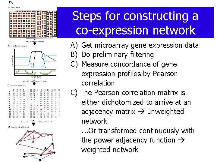 Steps for constructing a co-expression network A) Get microarray gene expression data B) Do