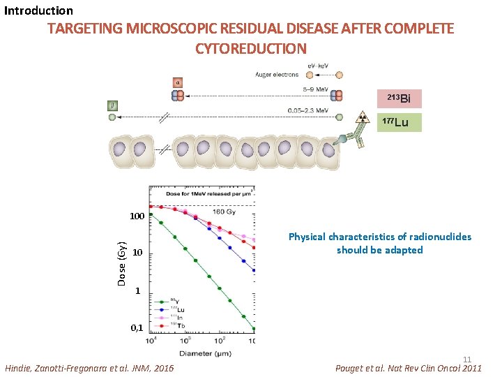 Introduction TARGETING MICROSCOPIC RESIDUAL DISEASE AFTER COMPLETE CYTOREDUCTION 213 Bi 177 Lu Dose (Gy)