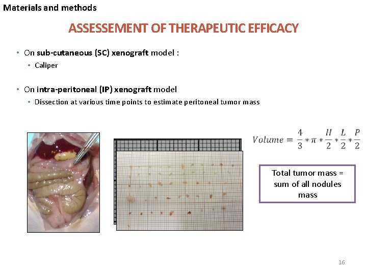 Materials and methods ASSESSEMENT OF THERAPEUTIC EFFICACY • On sub-cutaneous (SC) xenograft model :