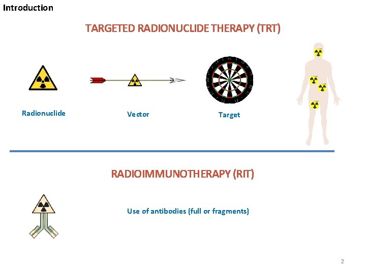Introduction TARGETED RADIONUCLIDE THERAPY (TRT) Radionuclide Vector Target RADIOIMMUNOTHERAPY (RIT) Use of antibodies (full