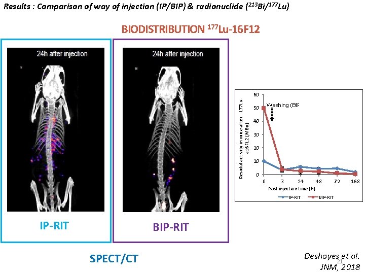 Results : Comparison of way of injection (IP/BIP) & radionuclide (213 Bi/177 Lu) BIODISTRIBUTION