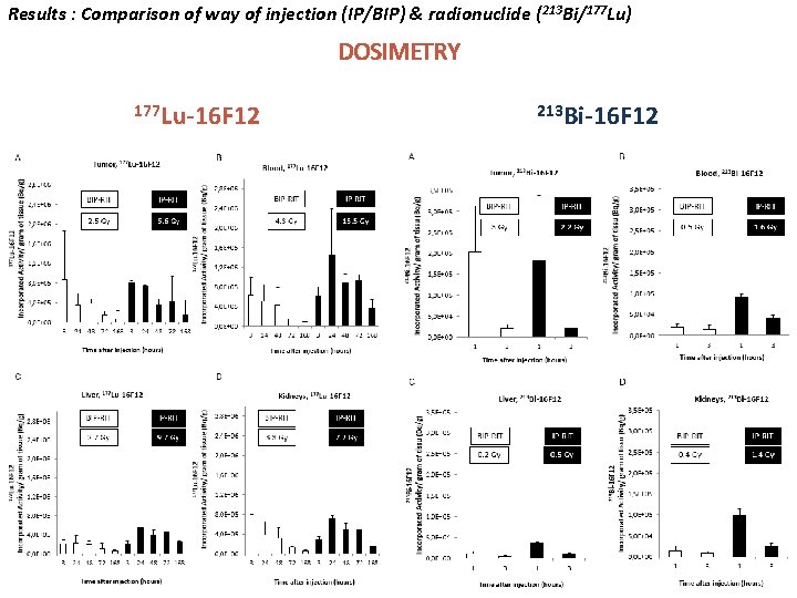 Results : Comparison of way of injection (IP/BIP) & radionuclide (213 Bi/177 Lu) DOSIMETRY