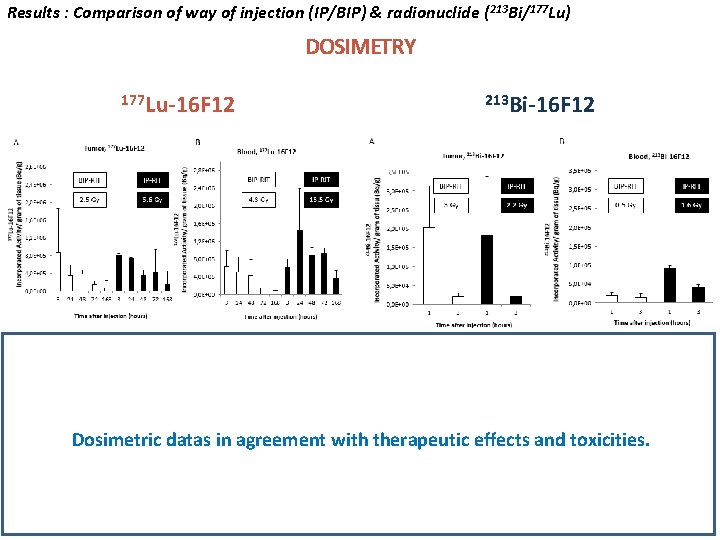 Results : Comparison of way of injection (IP/BIP) & radionuclide (213 Bi/177 Lu) DOSIMETRY