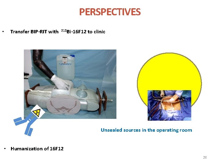 PERSPECTIVES • Transfer BIP-RIT with 213 Bi-16 F 12 to clinic Unsealed sources in
