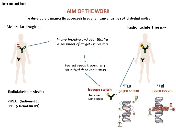 Introduction AIM OF THE WORK To develop a theranostic approach in ovarian cancer using
