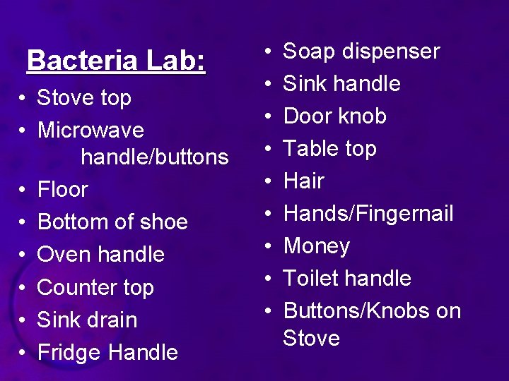 Bacteria Lab: • Stove top • Microwave handle/buttons • Floor • Bottom of shoe