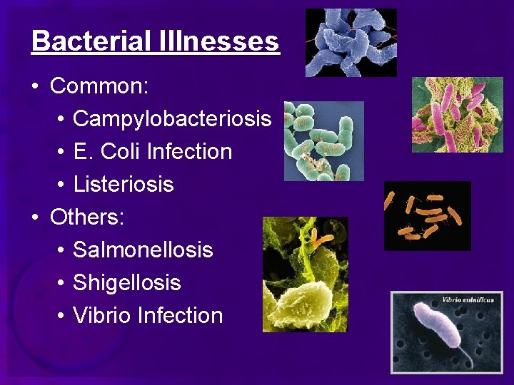 Bacterial Illnesses • Common: • Campylobacteriosis • E. Coli Infection • Listeriosis • Others: