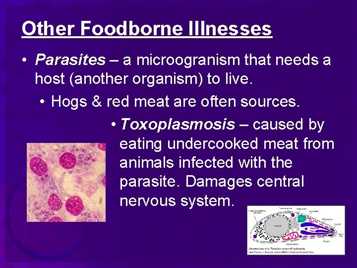 Other Foodborne Illnesses • Parasites – a microogranism that needs a host (another organism)