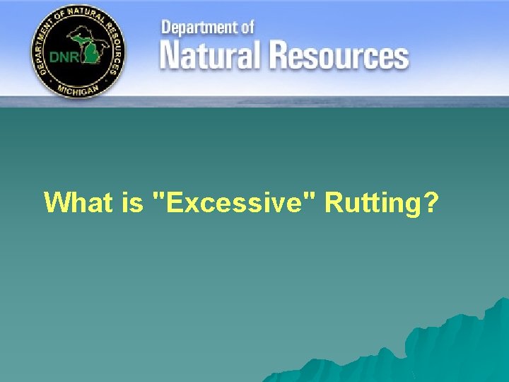 What is "Excessive" Rutting? 