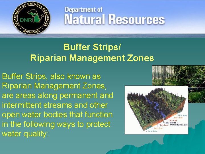 Buffer Strips/ Riparian Management Zones Buffer Strips, also known as Riparian Management Zones, areas