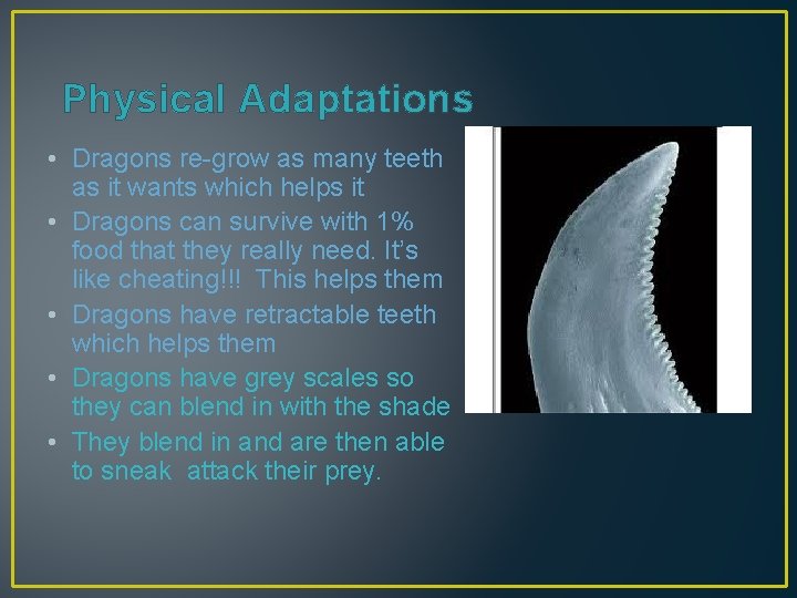 Physical Adaptations • Dragons re-grow as many teeth as it wants which helps it