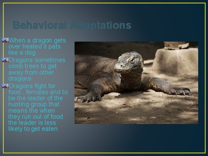 Behavioral Adaptations When a dragon gets over heated it pats like a dog Dragons